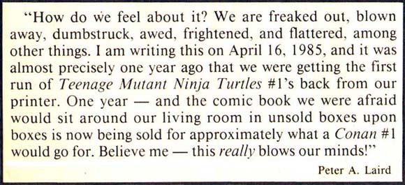 Teenage Mutant Hero Turtles Book 1 - THE MAGIC SWORD OF N…